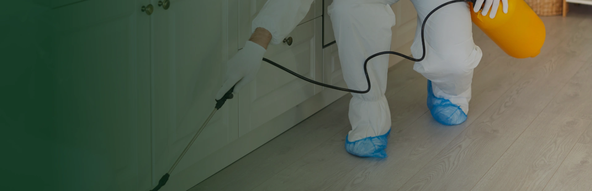 Priority Pest Management Plan + Termite breadcrumb hero